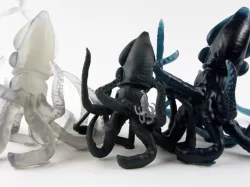 Giant Squids