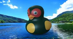 Ginger Duck - Taiwan Style