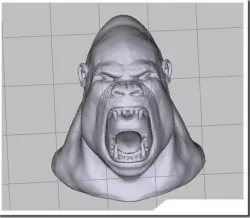 GORILLA