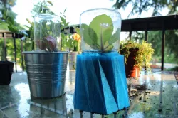 Invernadero Mini DIY