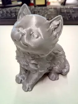 Kitten