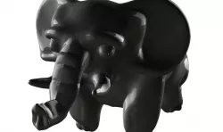 Lonely Elephant
