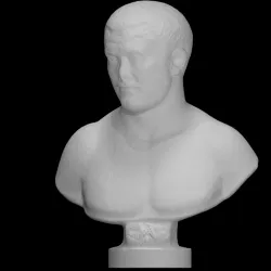 Male portrait bust