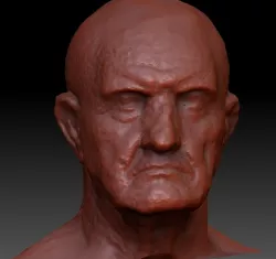 Marble Bust of a Man