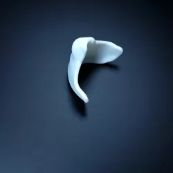 Mask Base for Customizing