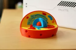Multi-Color Cell Model