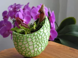 Organic flower pot / Voronoi Vase (2-color)