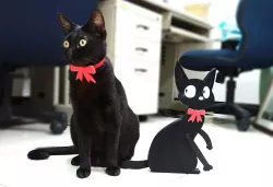 Pet Collar Bow Tie