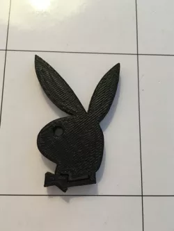 playboy-logo