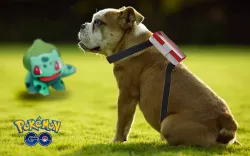 pokemon go doggysitter