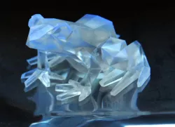 Polygon Frog
