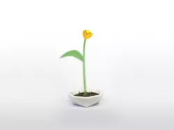 Polypod - Polygon flower pod
