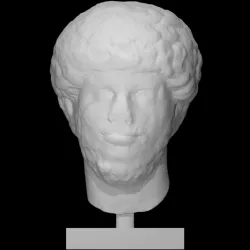 Portrait Head, Male