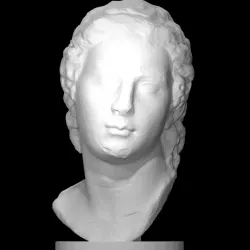 Portrait head of a man