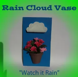 Rain Cloud pot plant vase.