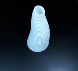 Repscale Vase