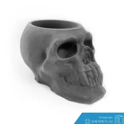 scary skull light holder
