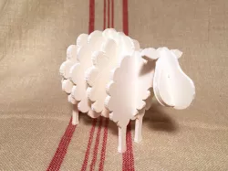 Sheep