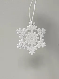 snowflake 01