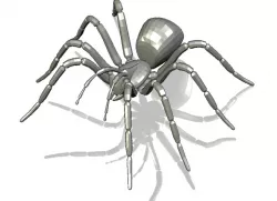 Spider