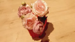 Spiringda Cup