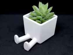 Succulent Planter / 3D printed planter / Legged Planter