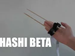 The Hashi Beta