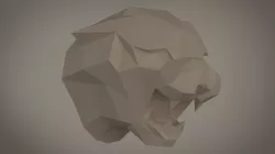 Tiger trophy
