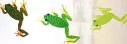 Treefrog Window Climber