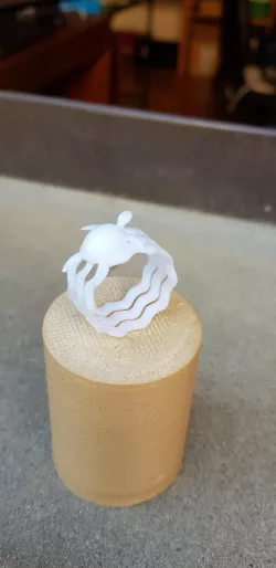Turtle Ring