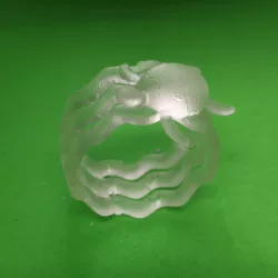 Turtle Ring
