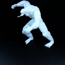 Venom