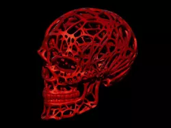 Wired Skull