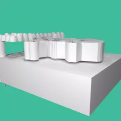 AASHVI_GABBY_GABY project