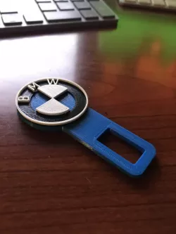 BMW Seatbelt Key