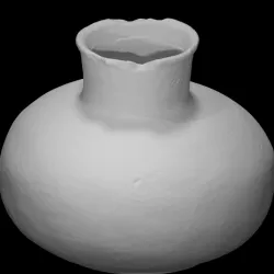 Bottle