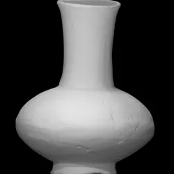 Bottle