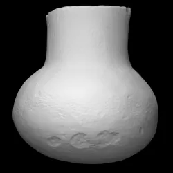 Bottle