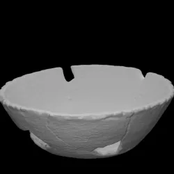 Bowl
