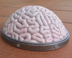 Brain Hat