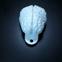 Brain keychain