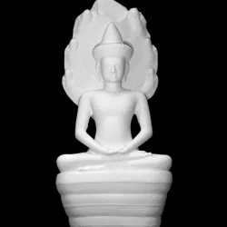 Buddha protected by the naga