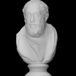 Bust of a Man