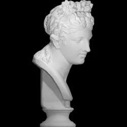 Bust of a woman