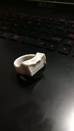 Cat Ring