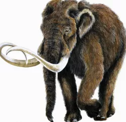 Comparing Ice Age Mammals