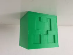 Creeper Plant Pot