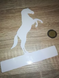 Custom stable name plate