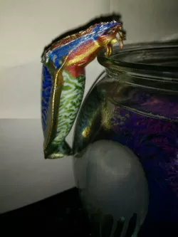 Cuttlefish v14