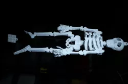 Dancing Skeleton